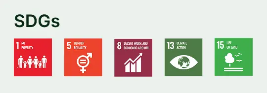 SDGs
